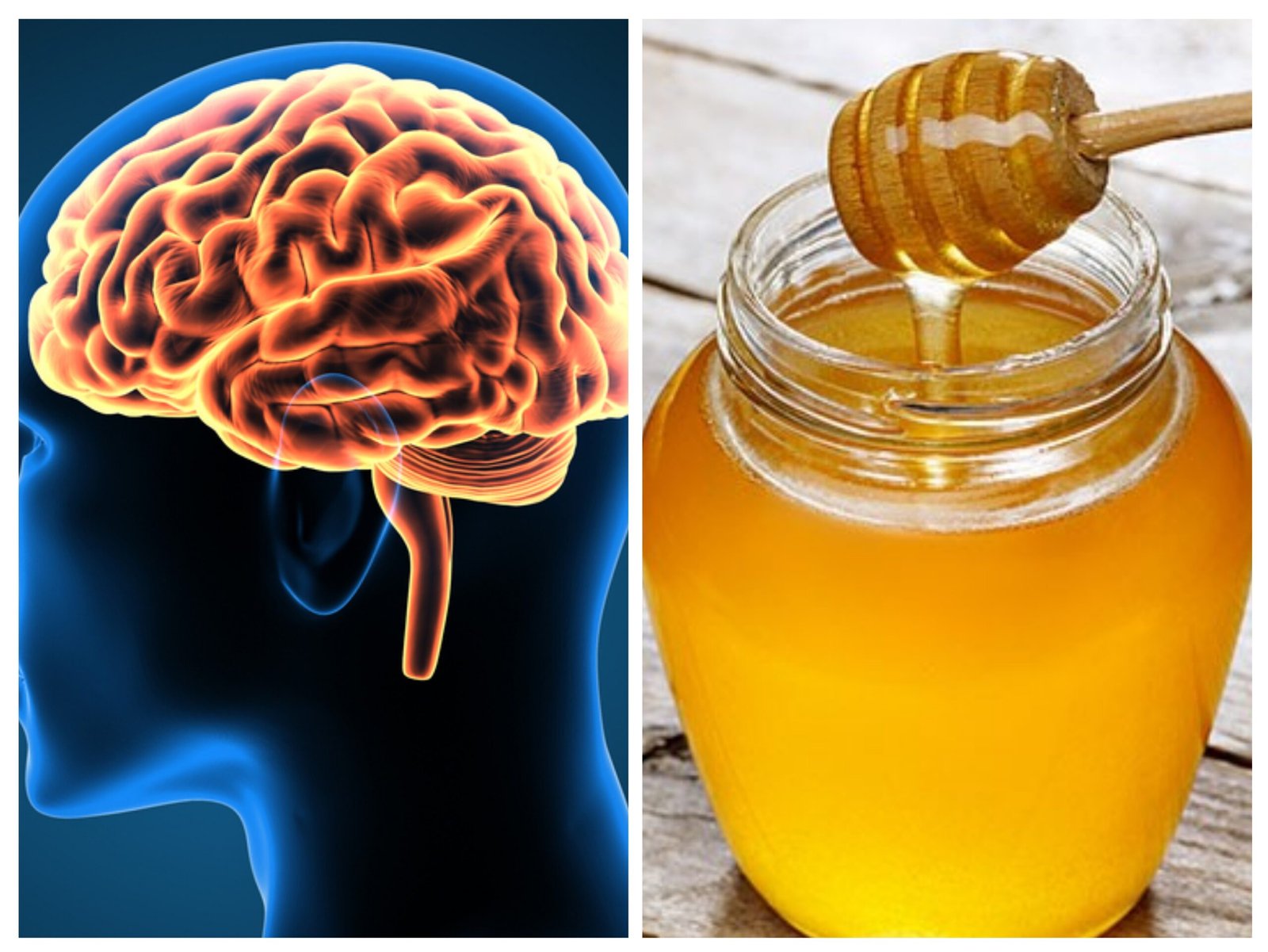 Does Honey Really Enhance Intelligence? 1 honey