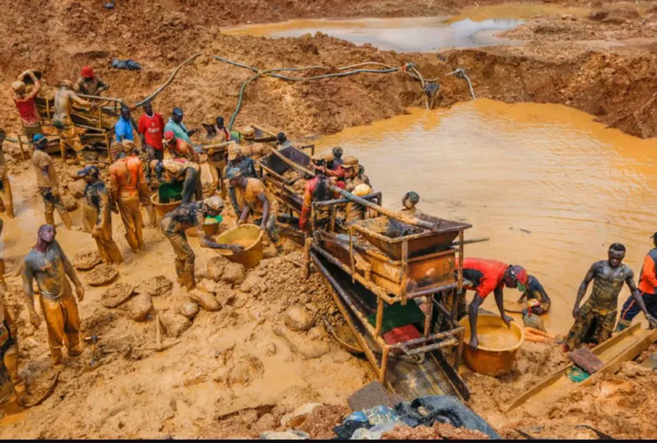 Illegal Mining