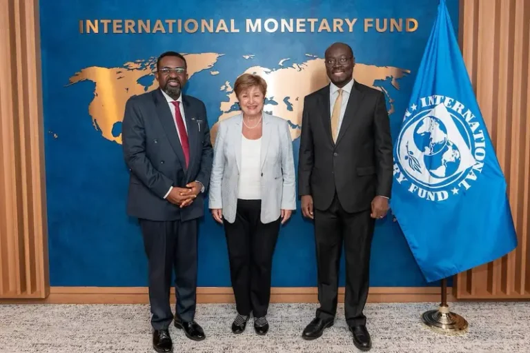 IMF Boss Commends Ato Forson’s Commitment to Ghana’s Economic Reform Agenda