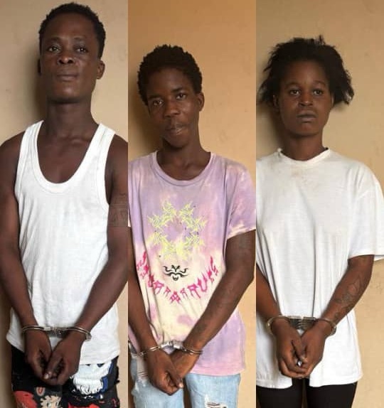 3 jailed 19 years for stealing iPhone 6s 1 Iphone