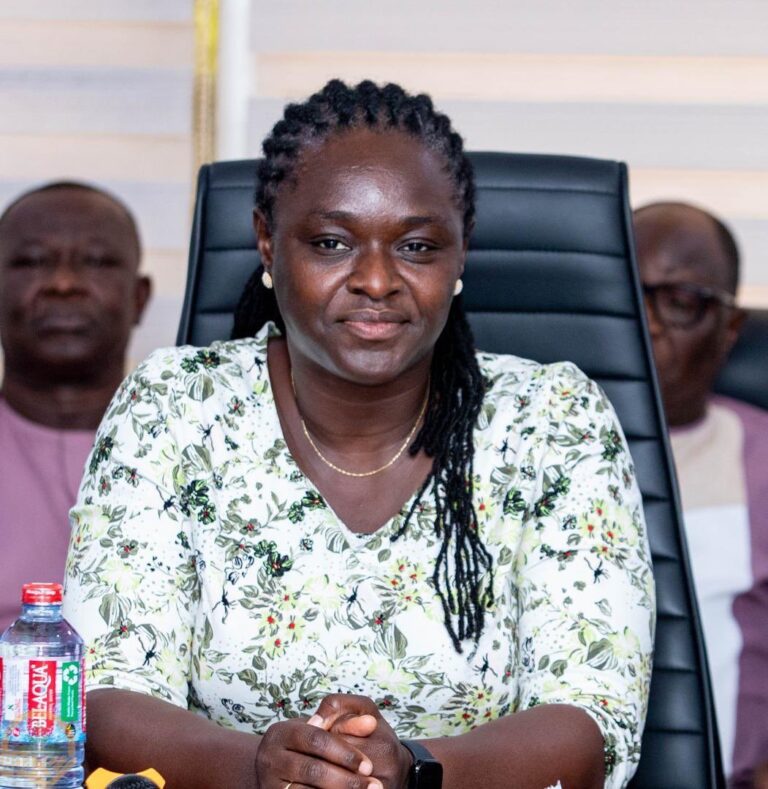 All I need is five helicopters, a couple of guns, and just two weeks to eliminate all those polluting our waterbodies. – Prof. Nana Ama Browne Klutse, CEO of Environmental Protection Authority (EPA)