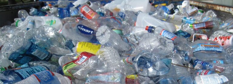 EPA Confirms Plastic Ban Targets Only Single-Use, Non-Recyclable Items