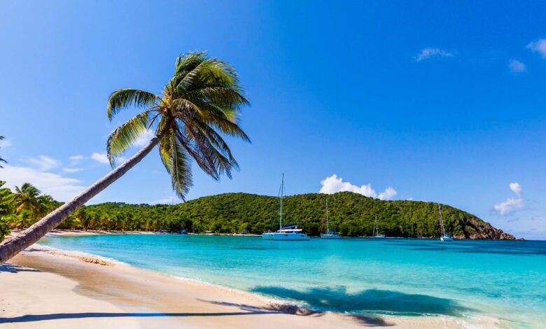 Caribbean