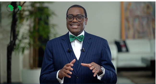 Africa Faces $100 Billion Annual FDI Shortfall - Adesina Warns