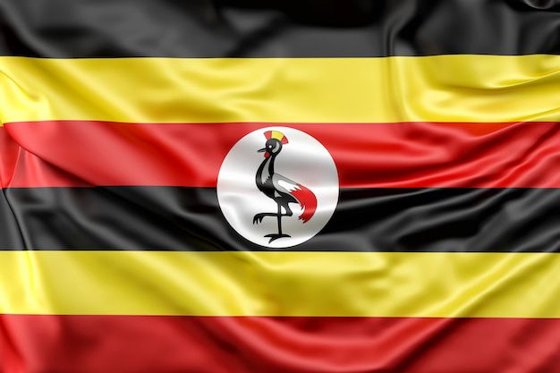 Uganda’s Young Presidential Aspirants Challenge Museveni’s Long 40-year Rule 3 Uganda 2026 election