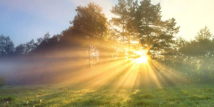 Why Science Says You’ll Be Healthier if You Spend More Time in the Sun 2 Why Science Says You’ll Be Healthier if You Spend More Time in the Sun