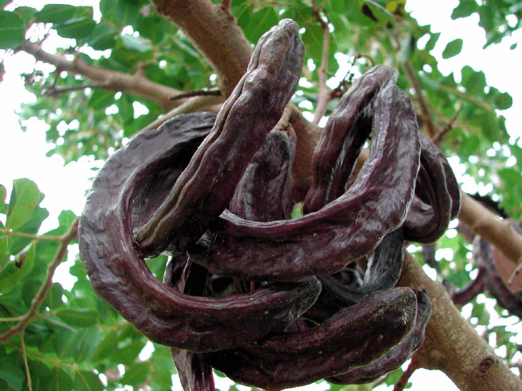 Kprekese: Ghana’s Hidden Gem of Flavor and Wellness