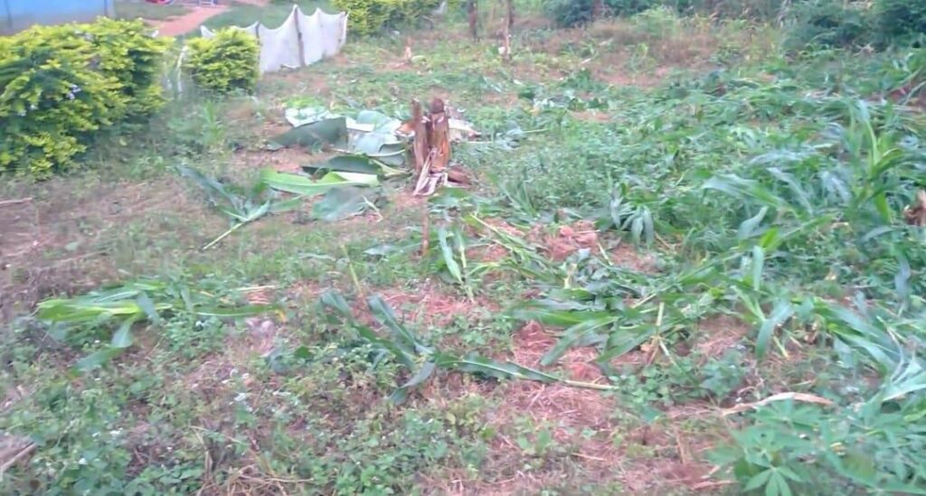 Wesley SHS WASSCE Exam