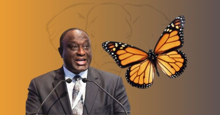 Rebranded United Party Seen as Strategic Move to Woo Disgruntled NPP Members 1 UNITED PARTY