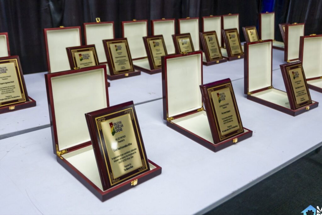 EnjoyAI African Open 2025: A Continent United by Innovation 10 EnjoyAI,Open