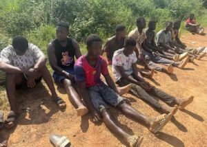 Lands Minister, Speaker Bagbin, and Interior Minister Meet Over Attack on NAIMOS Team at Hwediem