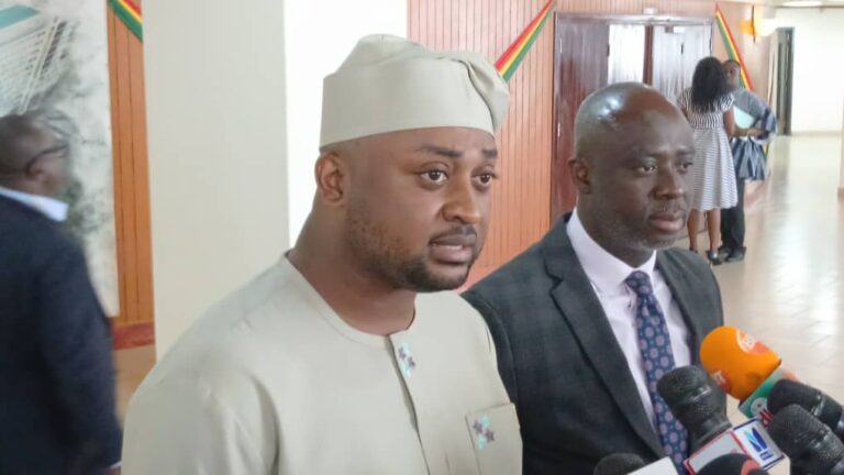 Minority in parliament demands lands minister’s resignation over controversial lithium deal