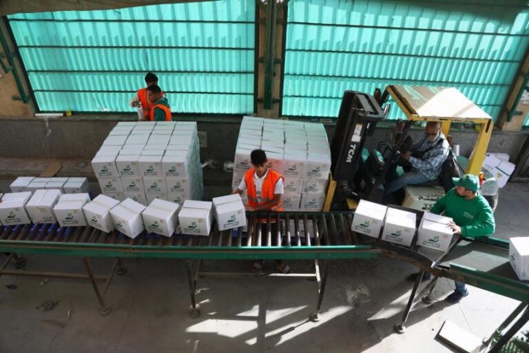 Egypt launches nationwide initiative to provide 71 million meals to vulnerable citizens