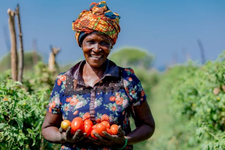 Canada-Africa Agribusiness Summit to boost trade and investment