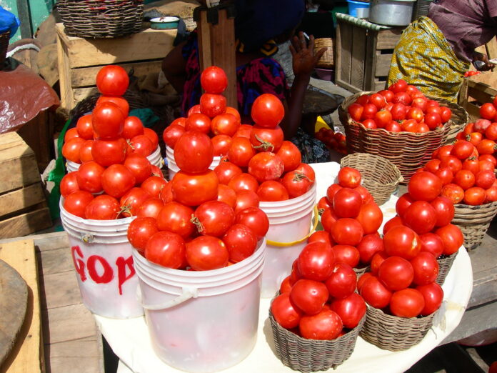 Decrease in tomato production Ghana tomato self-sufficiency gap fuels price pressure