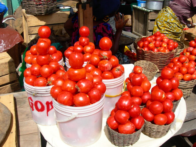 Ghana tomato self-sufficiency gap fuels price pressure