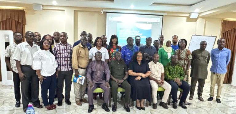 GIPC Act 865 review to strengthen local participation and job creation in Ghana