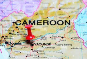 Thai firms position Cameroon as strategic gateway to Central Africa 5