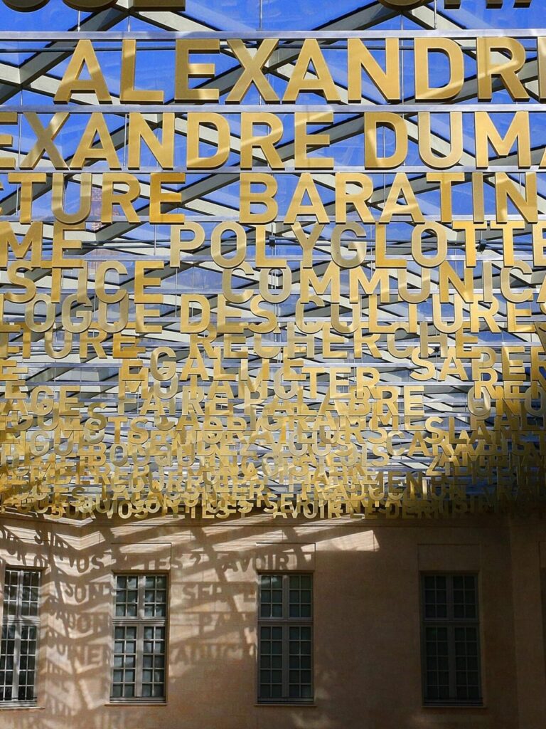 French overtakes Arabic to become fourth most spoken language globally 3