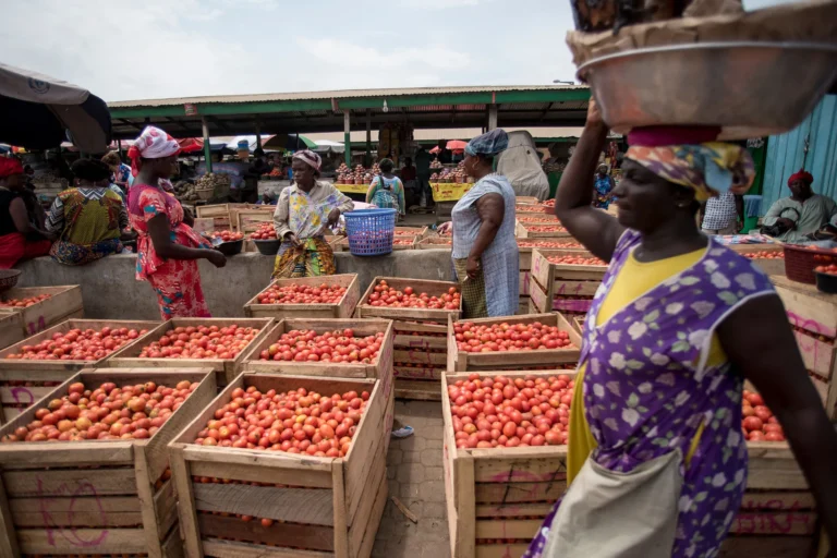 Burkina Faso suspends fresh tomato exports to boost local processing industry