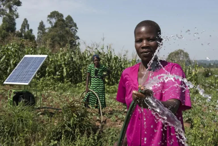 GIZ launches green financing for women entrepreneurs in Kenya to boost climate resilient growth