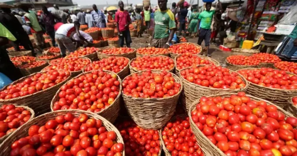 Ghana moves to engage Burkina Faso over tomato export ban amid looming supply crisis 3